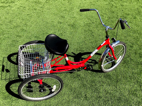 USA, Adult Tricycle Rentals